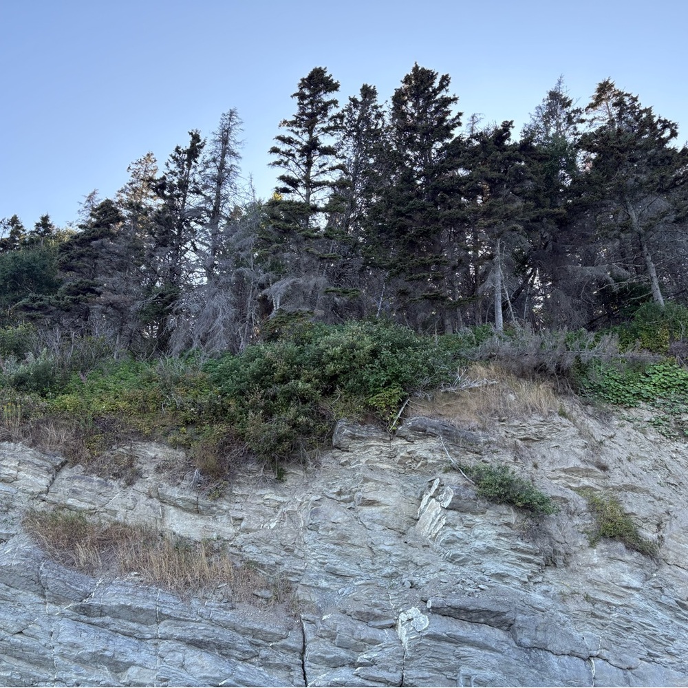 Meet your Posher, Eve